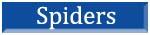 Spiders